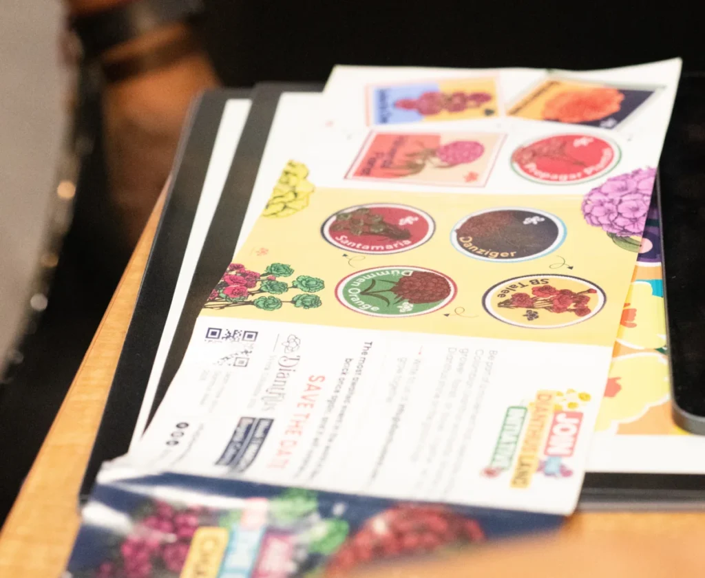 The Dianthus Land Challenge at Proflora 2025